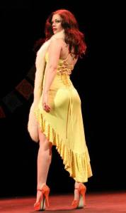 Taken at the Howard Theatre in Washington, DC by Richard Just.